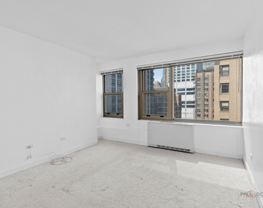 247 E Chestnut Street - Photo Thumbnail 14