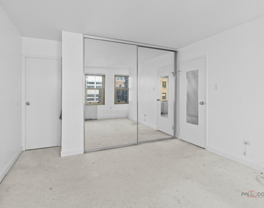 247 E Chestnut Street - Photo Thumbnail 16