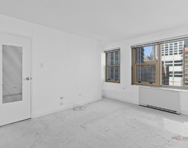247 E Chestnut Street - Photo Thumbnail 15
