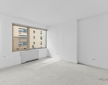247 E Chestnut Street - Photo Thumbnail 13