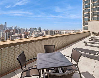 1550 N Lake Shore Drive - Photo Thumbnail 10