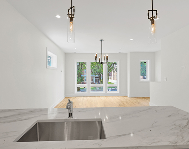 4217 S Indiana Avenue - Photo Thumbnail 3