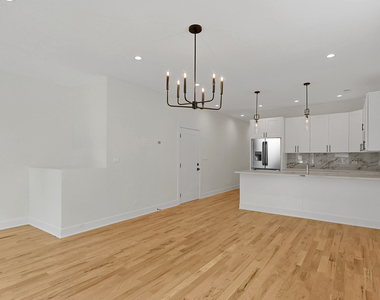 4217 S Indiana Avenue - Photo Thumbnail 4