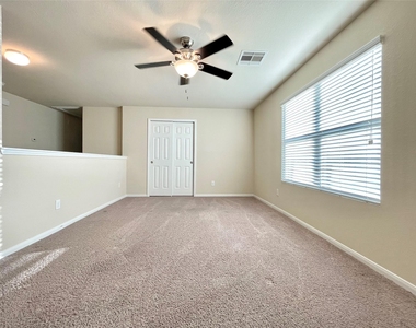 14903 Vinegrove Falls Court - Photo Thumbnail 14