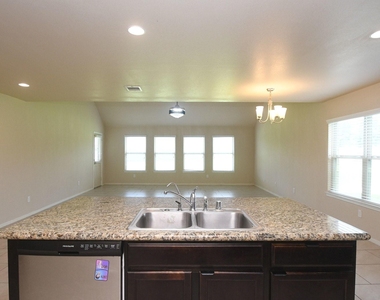 29251 Jacobs River Drive - Photo Thumbnail 17