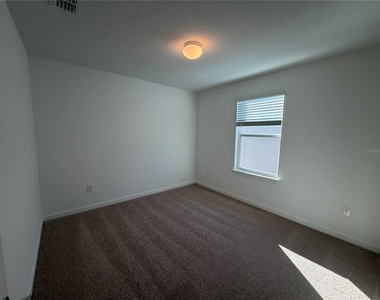 33424 Binding Ties Lane - Photo Thumbnail 29