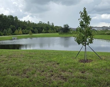 17837 17837 Grassybend Loop - Photo Thumbnail 2