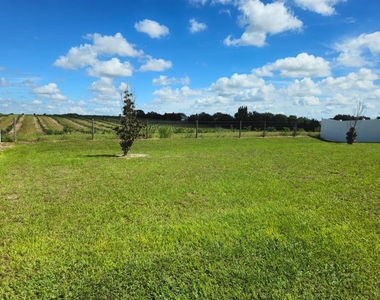 2058 Ficus Street - Photo Thumbnail 4