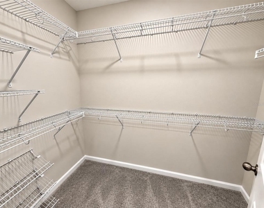 763 Pilea Street - Photo Thumbnail 17