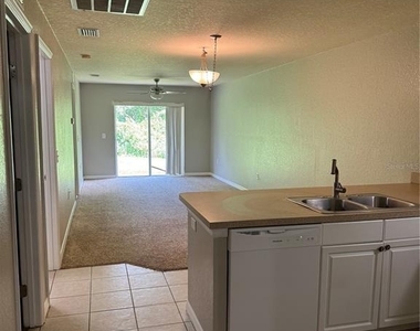 1011 Fox Lake Drive - Photo Thumbnail 4