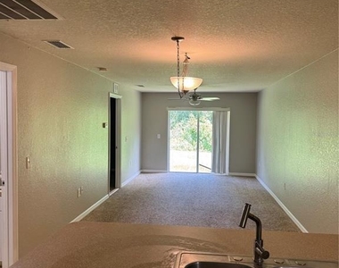 1011 Fox Lake Drive - Photo Thumbnail 6