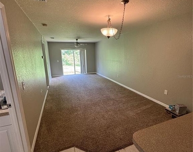 1011 Fox Lake Drive - Photo Thumbnail 7