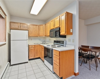 1301 Grandview Ave - Photo Thumbnail 25