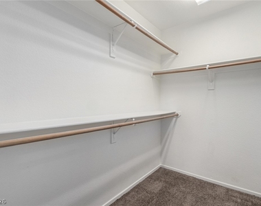 10622 Blue Larkspur Court - Photo Thumbnail 31