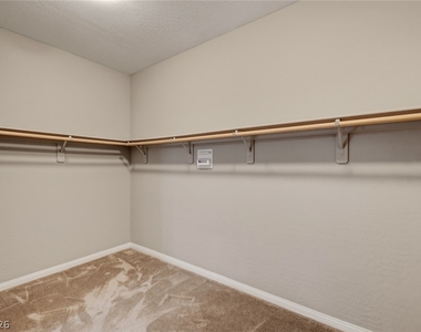 9675 Bruschi Ridge Court - Photo Thumbnail 42