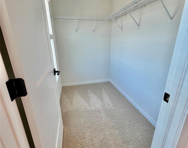 146 Towhee Branch Place - Photo Thumbnail 20