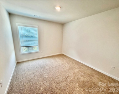146 Towhee Branch Place - Photo Thumbnail 17