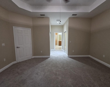 4409 Coquina Winds Way - Photo Thumbnail 33
