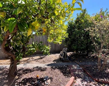 25 Elder Avenue - Photo Thumbnail 23