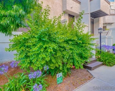 3960 Voltaire St - Photo Thumbnail 27