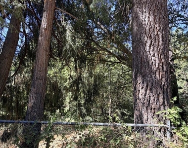 54080 Pine Crest Avenue - Photo Thumbnail 26
