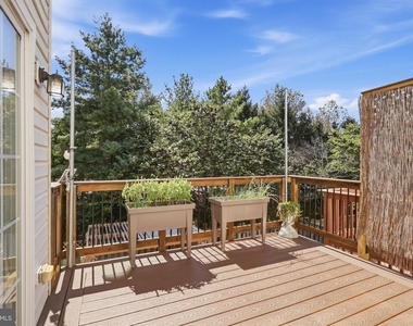 24699 Siltstone Square - Photo Thumbnail 20