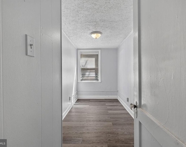 243 W 22nd Street - Photo Thumbnail 15