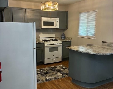 7316 Joplin Street - Photo Thumbnail 8
