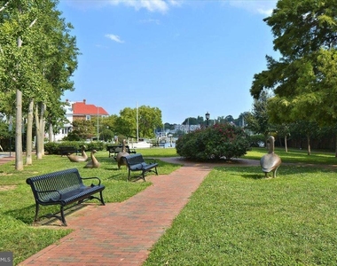 20 Shaw Street - Photo Thumbnail 34