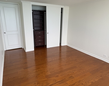 505 N Lake Shore Drive - Photo Thumbnail 26