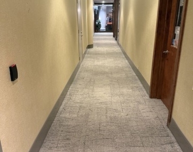 505 N Lake Shore Drive - Photo Thumbnail 58