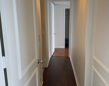 505 N Lake Shore Drive - Photo Thumbnail 30