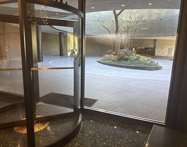 505 N Lake Shore Drive - Photo Thumbnail 3