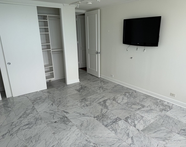 505 N Lake Shore Drive - Photo Thumbnail 29