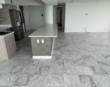 505 N Lake Shore Drive - Photo Thumbnail 19