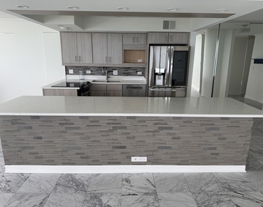 505 N Lake Shore Drive - Photo Thumbnail 10