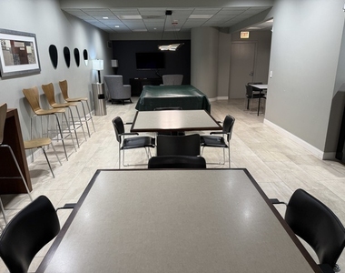 505 N Lake Shore Drive - Photo Thumbnail 47