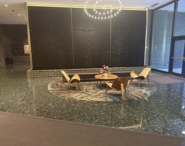 505 N Lake Shore Drive - Photo Thumbnail 44