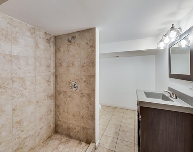 1138 W Addison Street - Photo Thumbnail 16