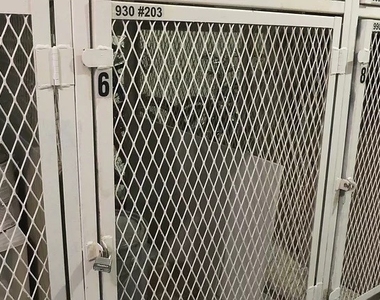930 Perrie Drive - Photo Thumbnail 12