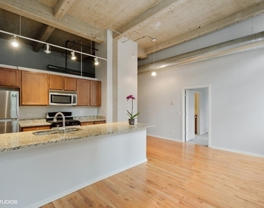 1735 N Paulina Street - Photo Thumbnail 3