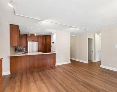 211 E Ohio Street - Photo Thumbnail 3
