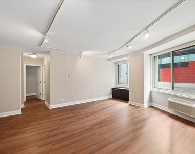 211 E Ohio Street - Photo Thumbnail 2