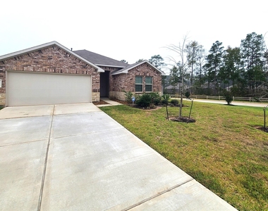 14628 Bellaria Manor Lane - Photo Thumbnail 1
