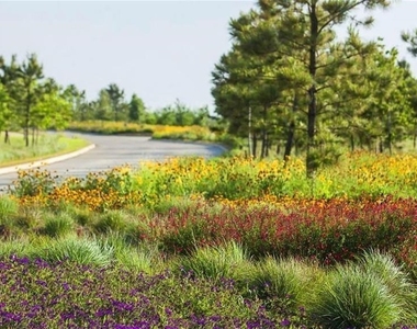 3442 Cabernet Shores Drive - Photo Thumbnail 38