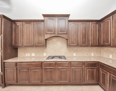 27126 Ashley Hills Court - Photo Thumbnail 16