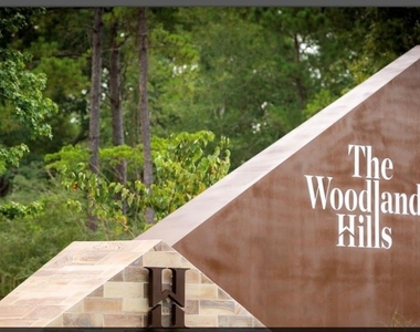 297 Scarlet Maple Way - Photo Thumbnail 22