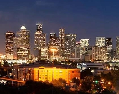 230 W Alabama Street - Photo Thumbnail 17