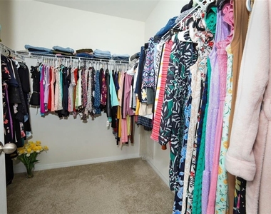3781 Swanfalls Terrace - Photo Thumbnail 21