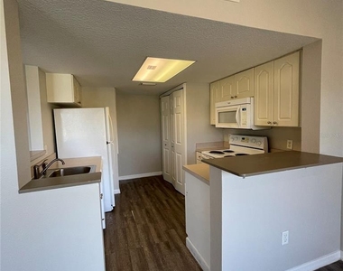 621 Washington Palm Loop - Photo Thumbnail 2